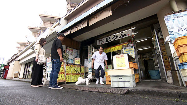 ぷん きょうのわんこ 写真3