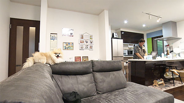 パンチ きょうのわんこ 写真5