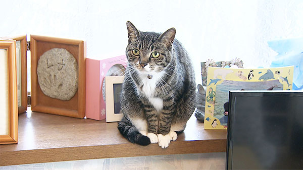 エル きょうのわんこ 写真2