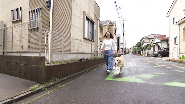 エル きょうのわんこ 写真3