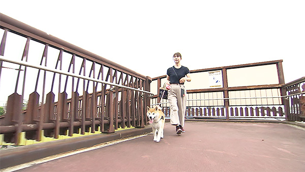 麻呂 きょうのわんこ 写真2