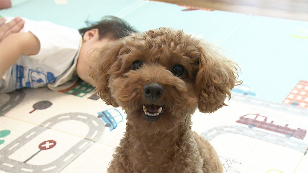 Laki きょうのわんこ 写真1