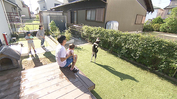 福助 きょうのわんこ 写真5