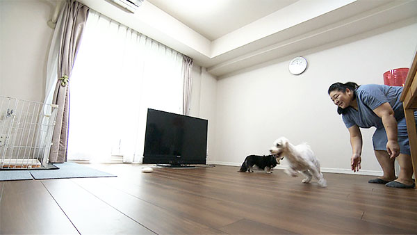 ユウ きょうのわんこ 写真2