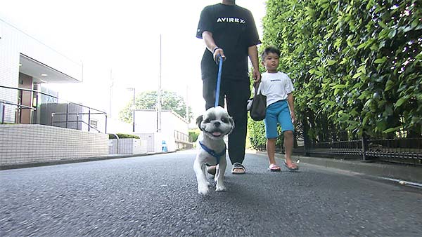 むぎ きょうのわんこ 写真2