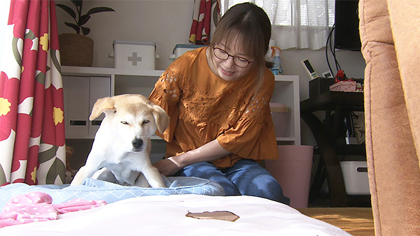 くるみ きょうのわんこ 写真2