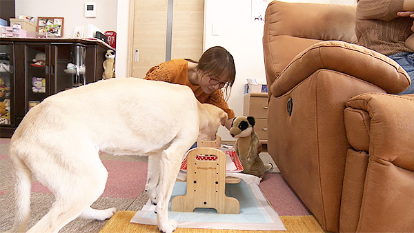くるみ きょうのわんこ 写真3