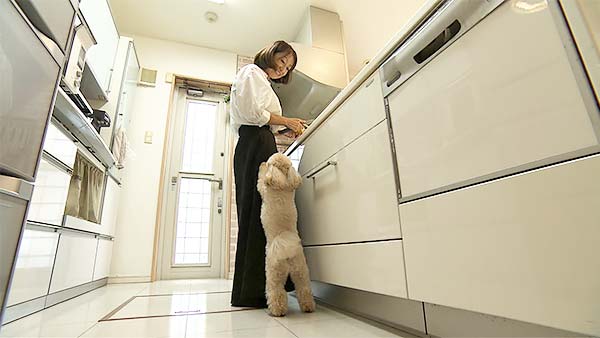 むぎ きょうのわんこ 写真3