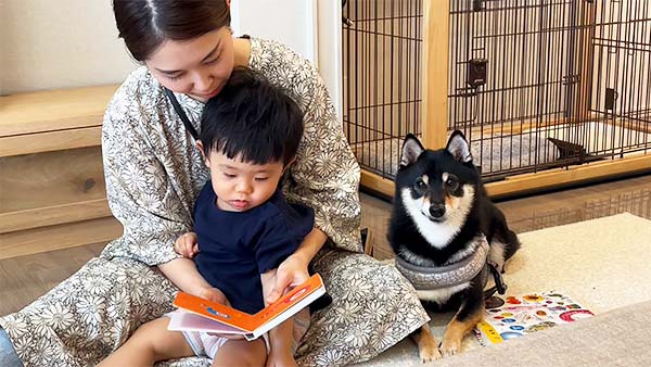 虎徹 きょうのわんこ 写真2