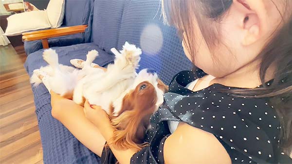 パッチ きょうのわんこ 写真4