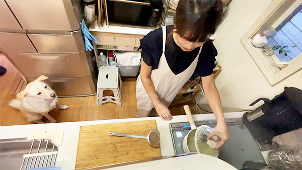 むぎ きょうのわんこ 写真3