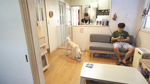 むぎ きょうのわんこ 写真5