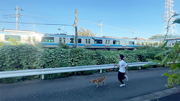 もんじ きょうのわんこ 写真3