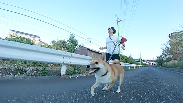 もんじ きょうのわんこ 写真4