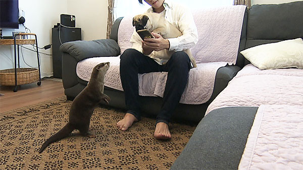 ゆず きょうのわんこ 写真3