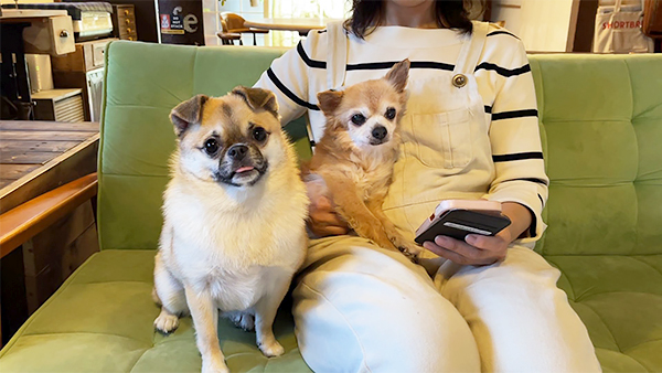 はなこ きょうのわんこ 写真2