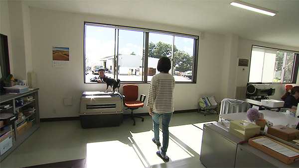 しおり きょうのわんこ 写真2