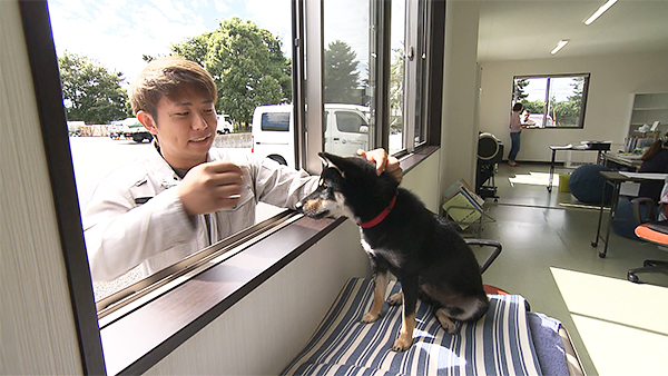 しおり きょうのわんこ 写真4