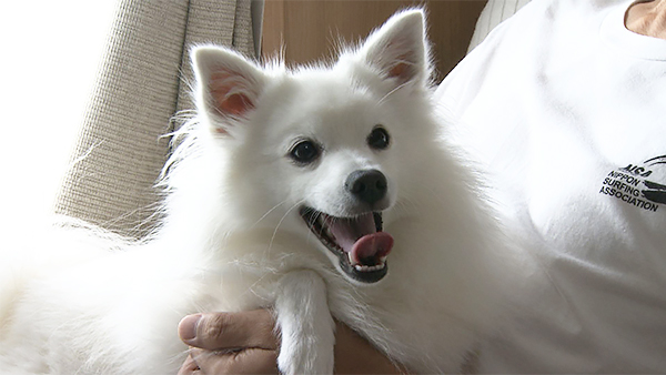 ミニー きょうのわんこ 写真1