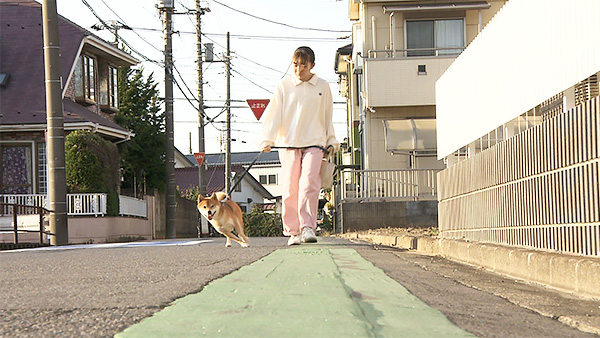 むぎ きょうのわんこ 写真2