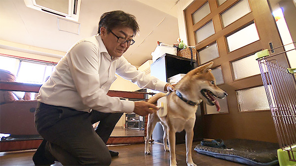 むぎ きょうのわんこ 写真3