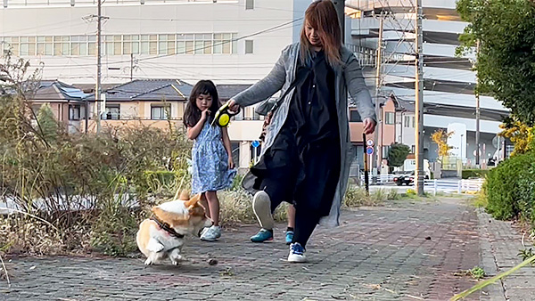 あんず きょうのわんこ 写真4