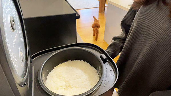 ラム きょうのわんこ 写真2