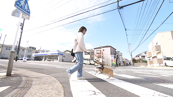 ベルク きょうのわんこ 写真3