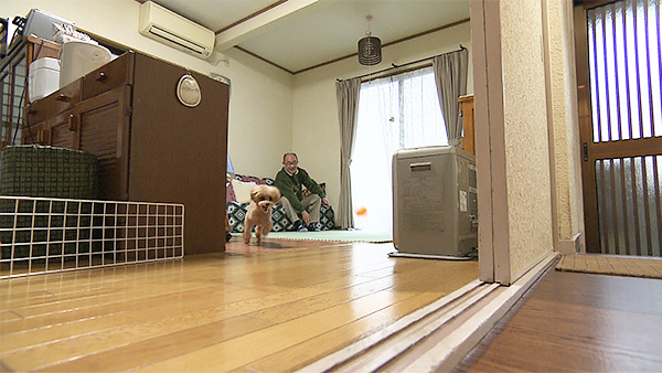 シュウ きょうのわんこ 写真3