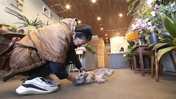 りん きょうのわんこ 写真3