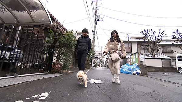 ぽむ きょうのわんこ 写真2