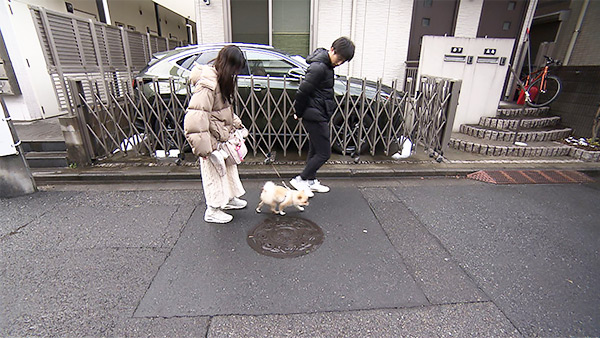 ぽむ きょうのわんこ 写真4