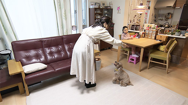 モカ きょうのわんこ 写真2