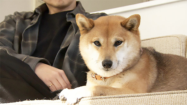 いと きょうのわんこ 写真1