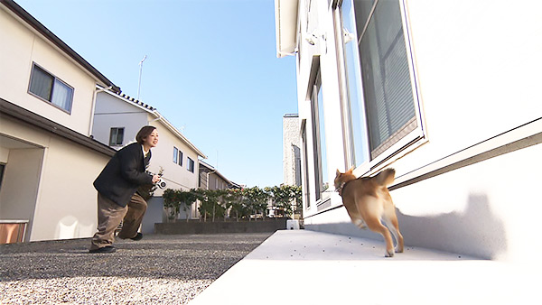 いと きょうのわんこ 写真4