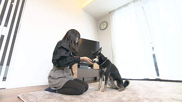 くろまめ きょうのわんこ 写真2