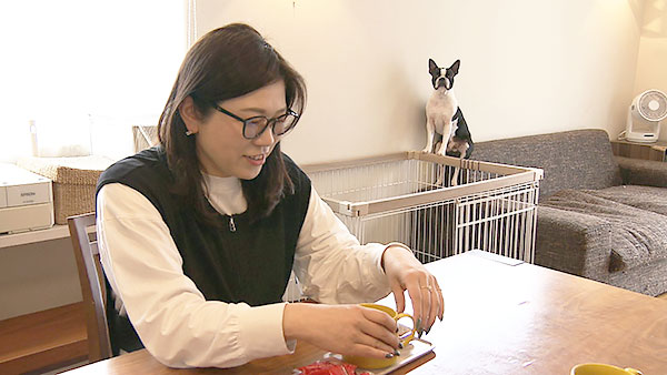 イギー きょうのわんこ 写真4