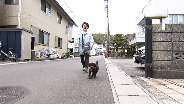 ルーク きょうのわんこ 写真3