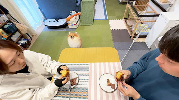 くるみ きょうのわんこ 写真3