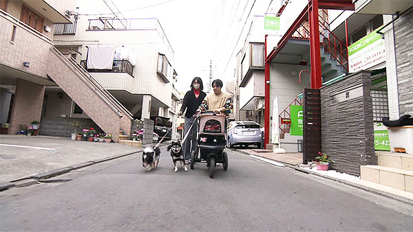 まろ きょうのわんこ 写真3