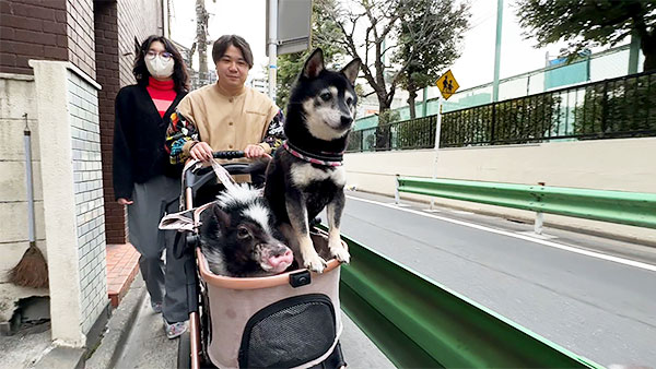 まろ きょうのわんこ 写真5