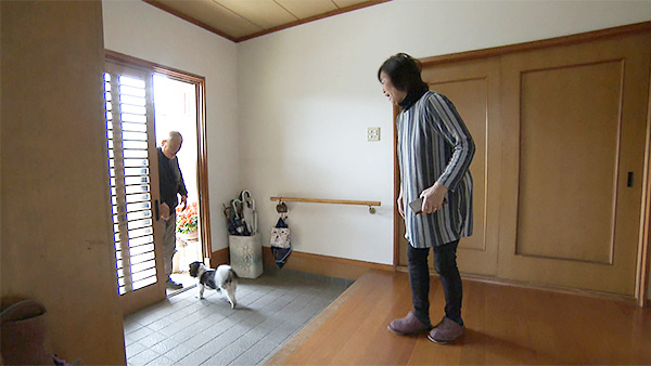 マッシュ きょうのわんこ 写真2