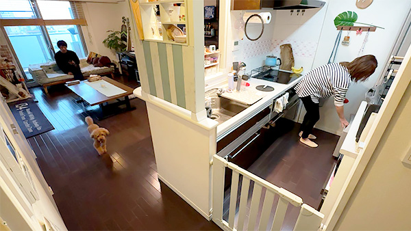とまと きょうのわんこ 写真2