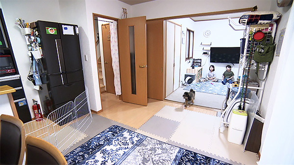 まる きょうのわんこ 写真2
