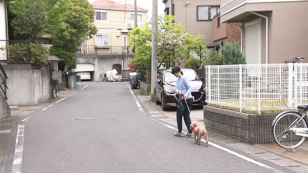 ゆめ きょうのわんこ 写真5