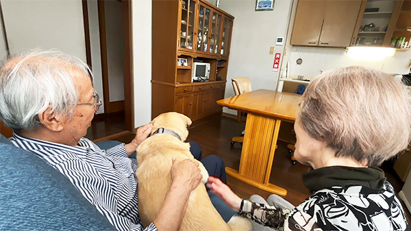 6970 ばん - めざましテレビ｜きょうのわんこ - フジテレビ