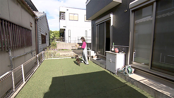 凪 きょうのわんこ 写真2