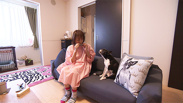 くにを きょうのわんこ 写真2