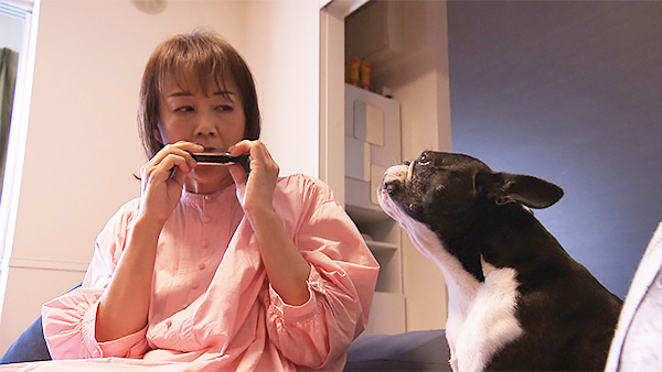くにを きょうのわんこ 写真4