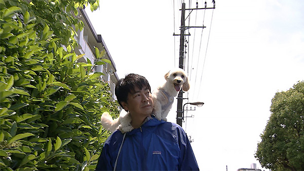 紅葉 きょうのわんこ 写真3